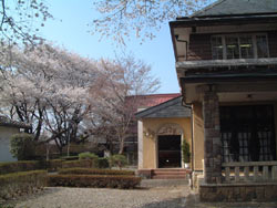 沼田公園の桜